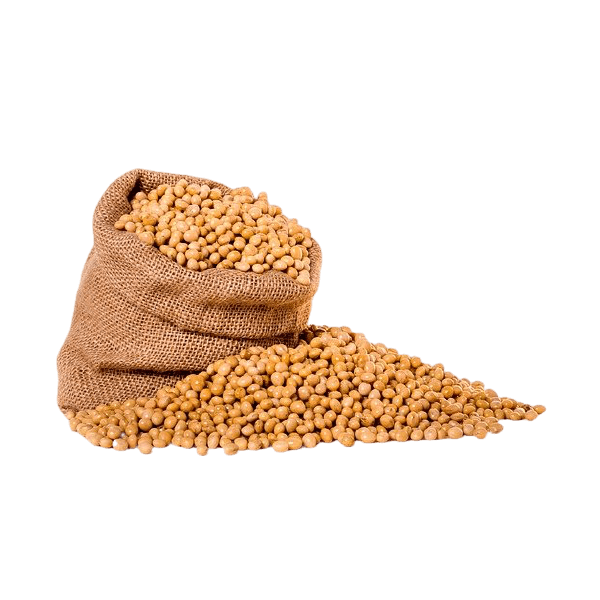 food gran 1.png